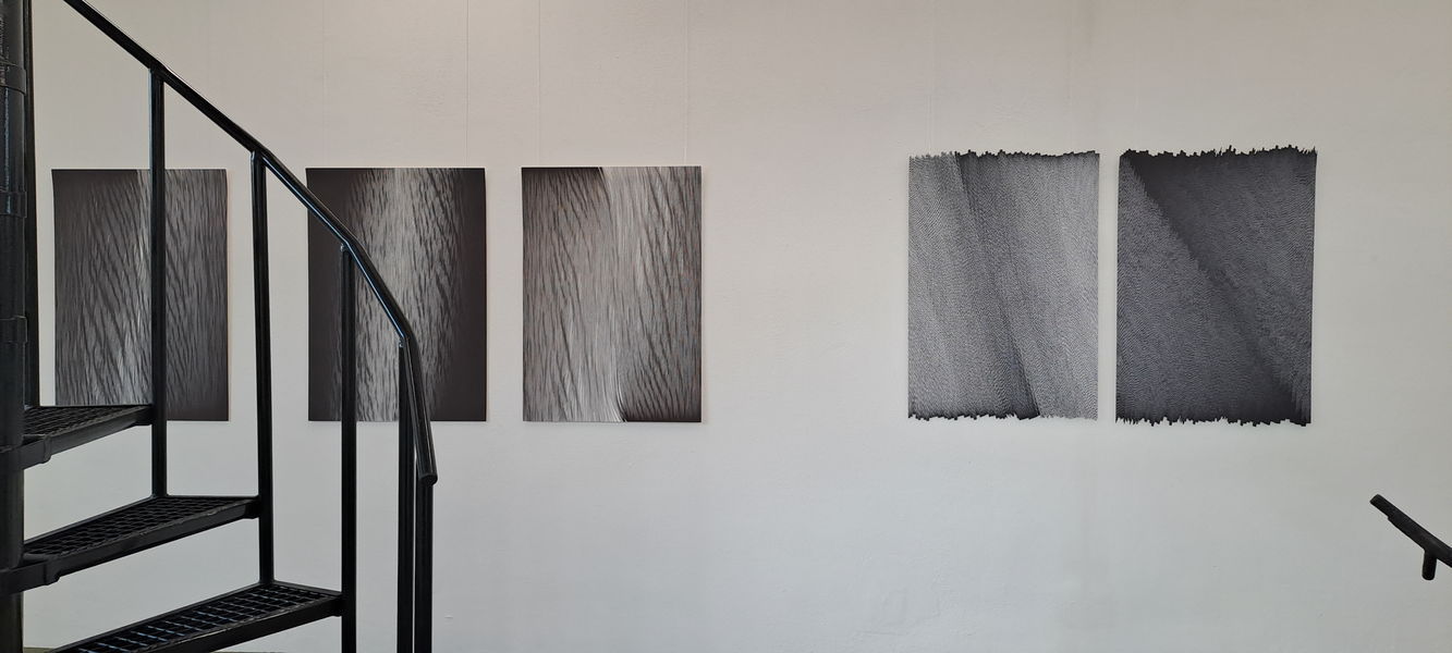 Množiny, TOSTA Plesná, autumn 2025