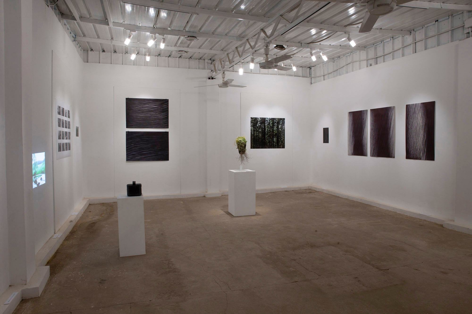 Quiet Waters, Thorn Moss, El Nahda Jezuit Center, Cairo, nov 2022