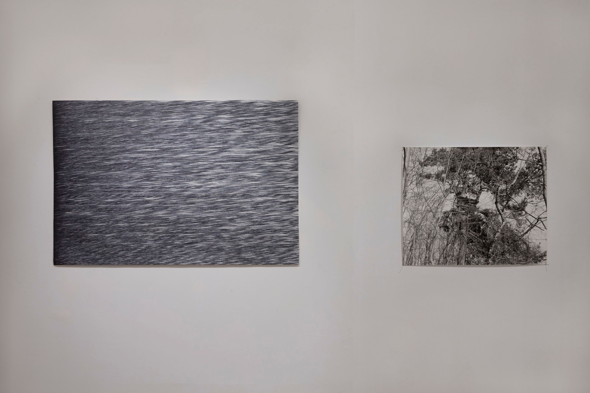 Quiet Waters, Thorn Moss, El Nahda Jezuit Center, Cairo, nov 2022