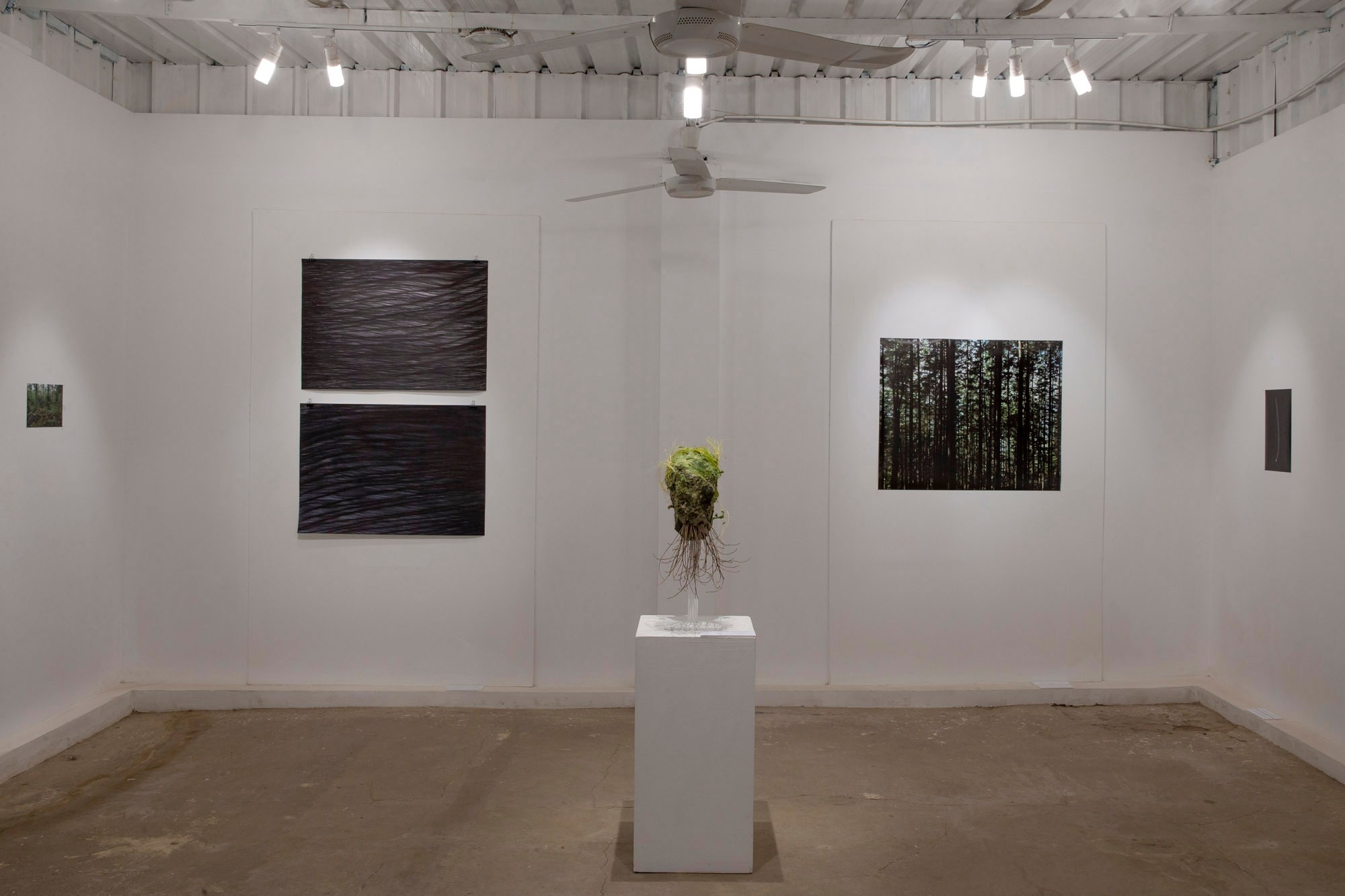 Quiet Waters, Thorn Moss, El Nahda Jezuit Center, Cairo, nov 2022