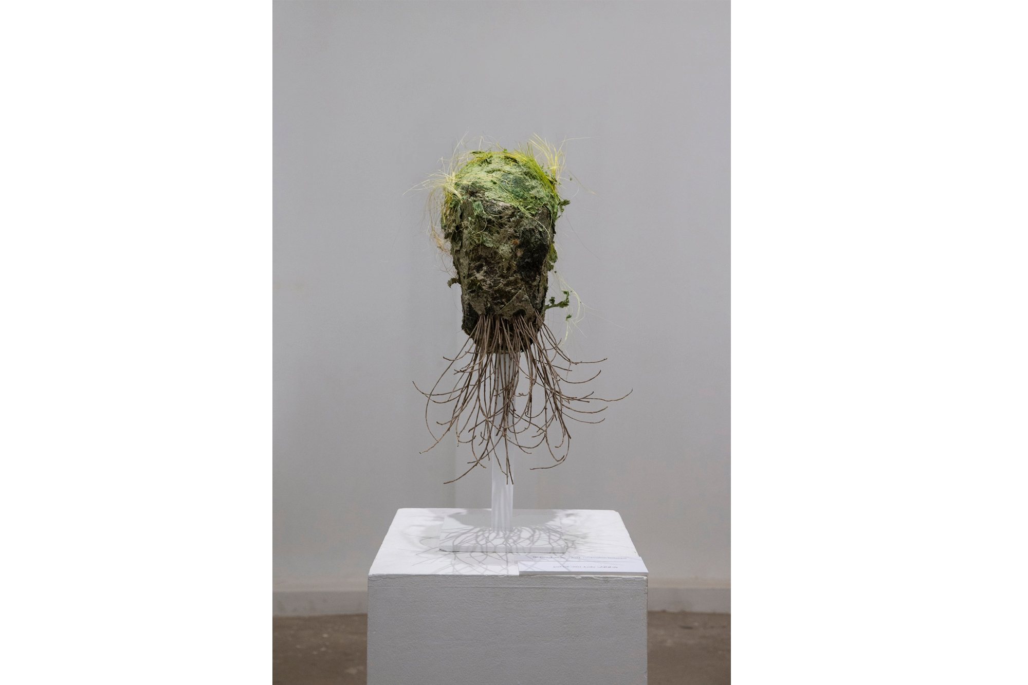 Quiet Waters, Thorn Moss, El Nahda Jezuit Center, Cairo, nov 2022