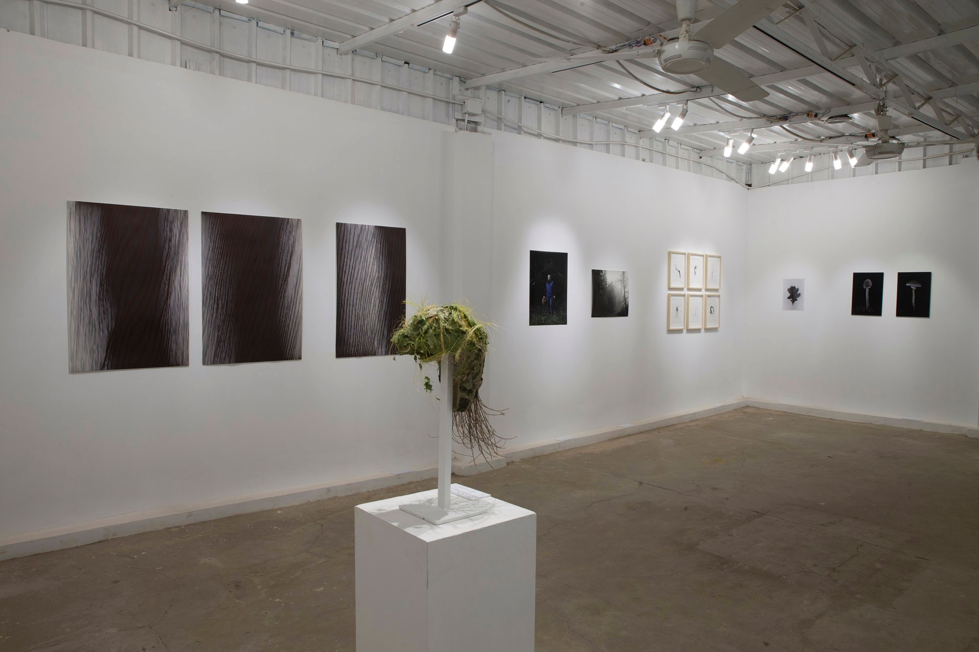 Quiet Waters, Thorn Moss, El Nahda Jezuit Center, Cairo, nov 2022
