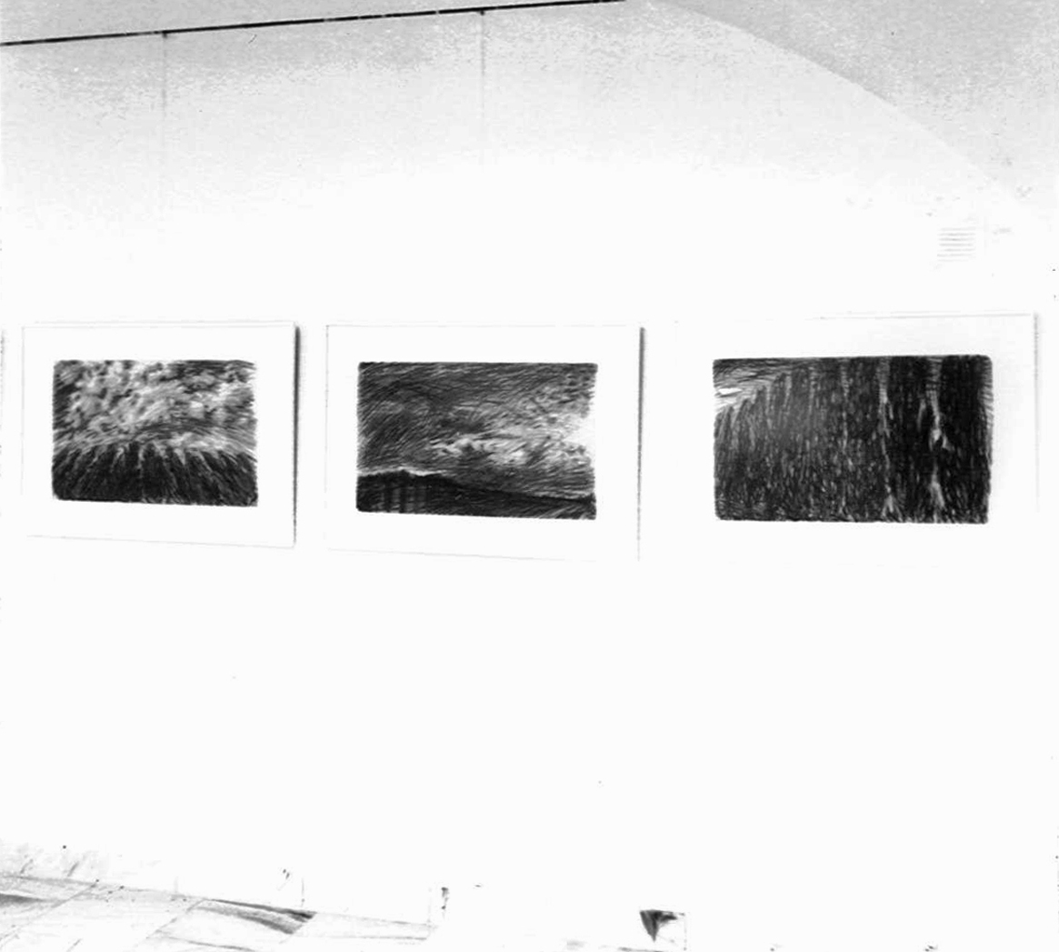 Krajina v černé, Galerie Jiřího Jílka