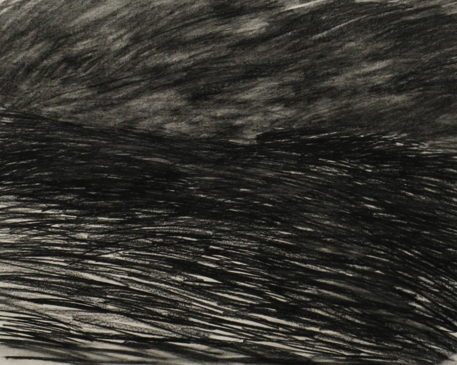 P-Z, 2011