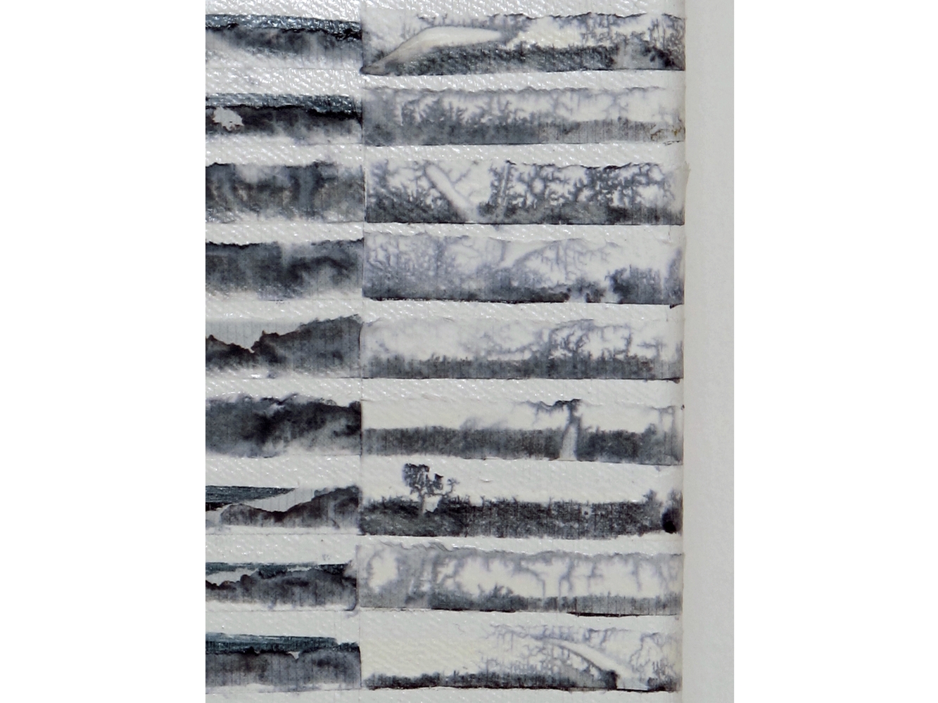Landscapes