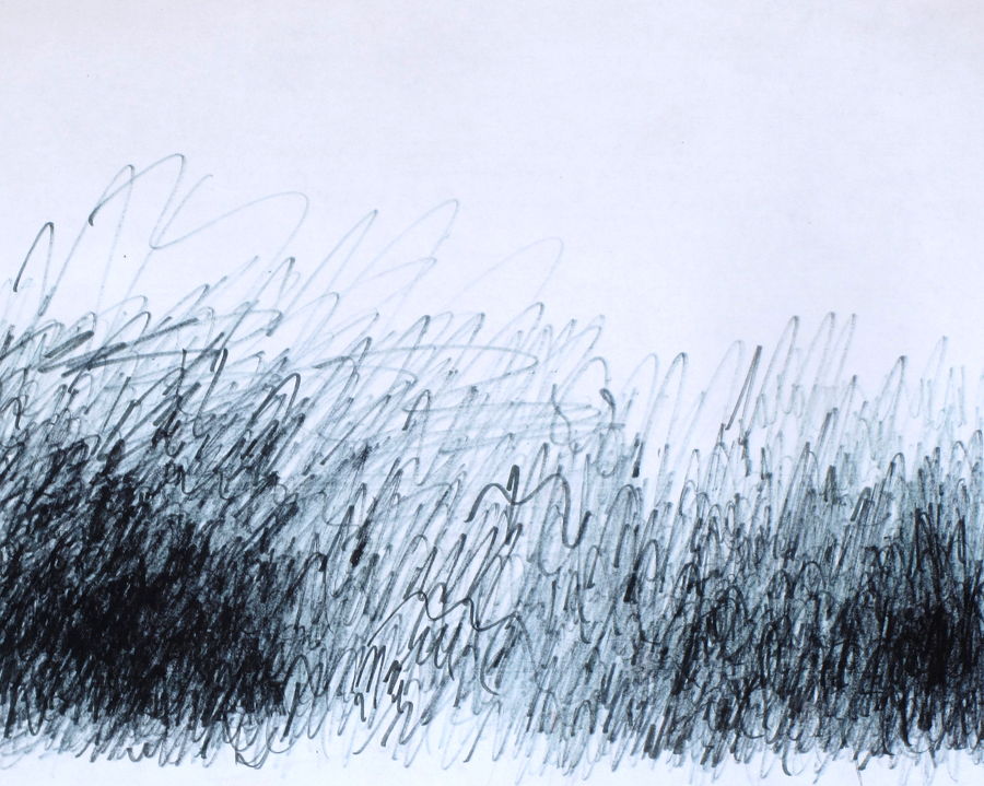 Palette, 2017